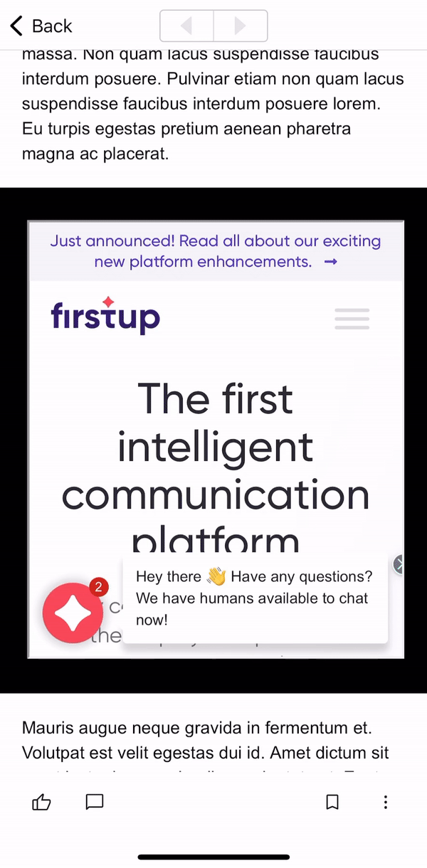 mobile-iframe.gif